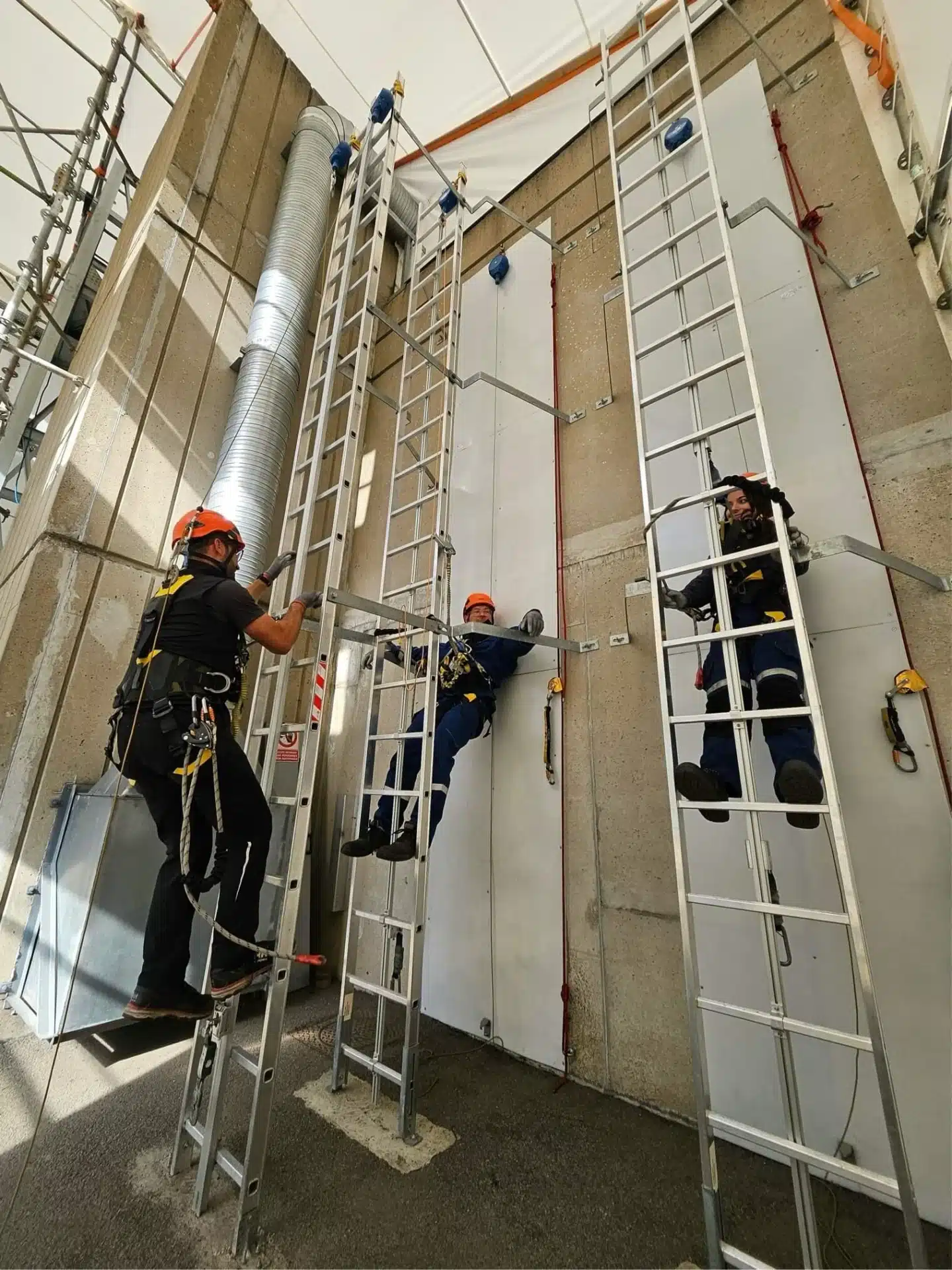 Formation WLA ONSHORE